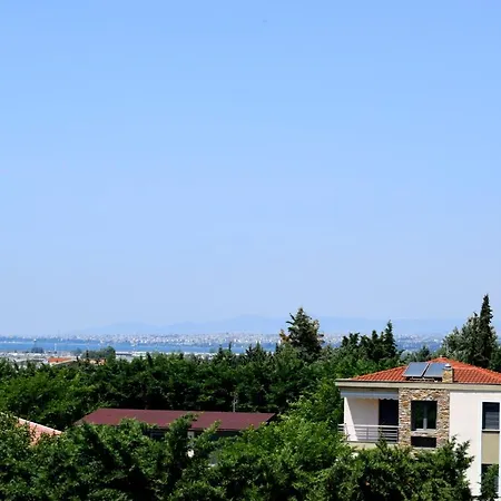 Olivelias Air