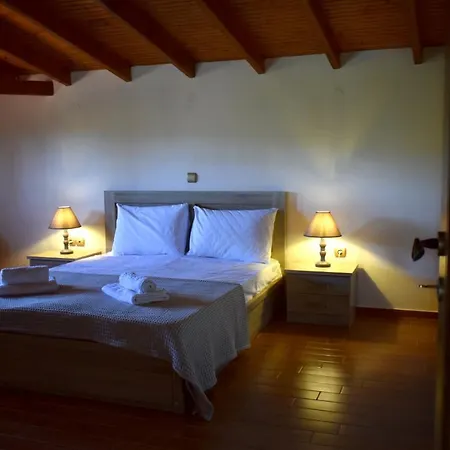 Olivelias Air Neon Rysion